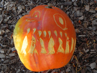 Kids, Nipomo Pumpkin Patch best carving idea